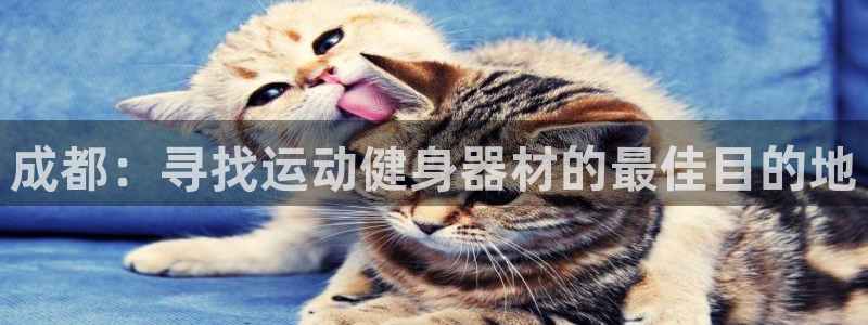 星欧娱乐测速怎么样：成都：寻找运动健身器材的最佳目的