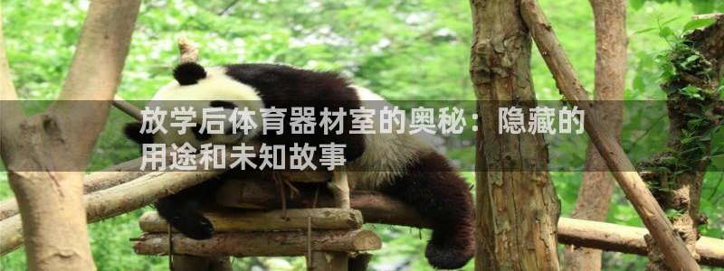 星欧娱乐是正规平台吗安全吗是真的吗：放学后体育器材室