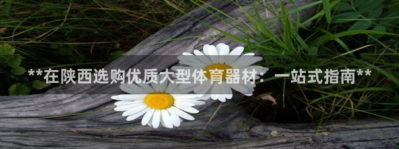 星欧娱乐扣款时间查询方法：**在陕西选购优质大型体育