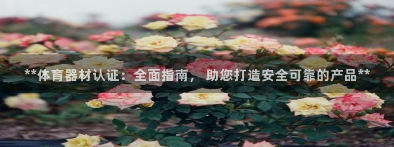 星奥娱乐集团股份有限公司怎么样：**体育器材认证：全