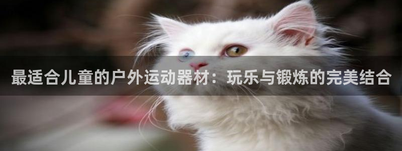星欧娱乐挂机教程：最适合儿童的户外运动器材：玩乐与锻