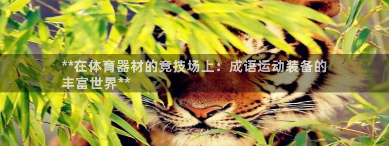 星欧娱乐最建议买的三个产品是什么意思：**在体育器材