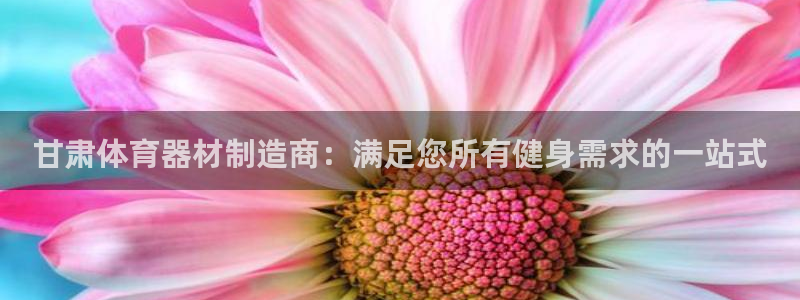 星欧娱乐联游戏评测：甘肃体育器材制造商：满足您所有健