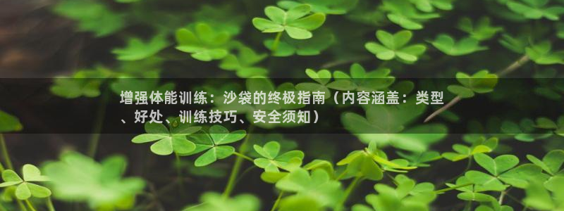 星欧娱乐公司电话号码查询：增强体能训练：沙袋的终极指
