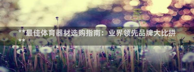 星欧娱乐属于什么档次的网站：**最佳体育器材选购指南