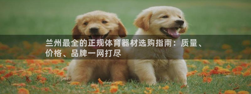 星欧娱乐是正规平台吗：兰州最全的正规体育器材选购指南