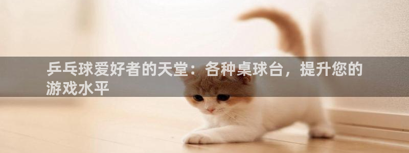 星欧娱乐扣款6II2是什么情况：乒乓球爱好者的天堂：