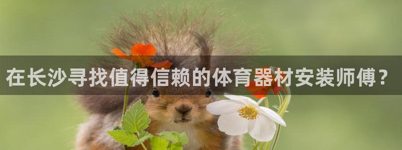 星欧娱乐是正规平台吗知乎：在长沙寻找值得信赖的体育器