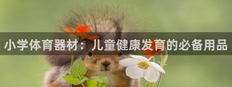 星欧娱乐还能玩吗：小学体育器材：儿童健康发育的必备用