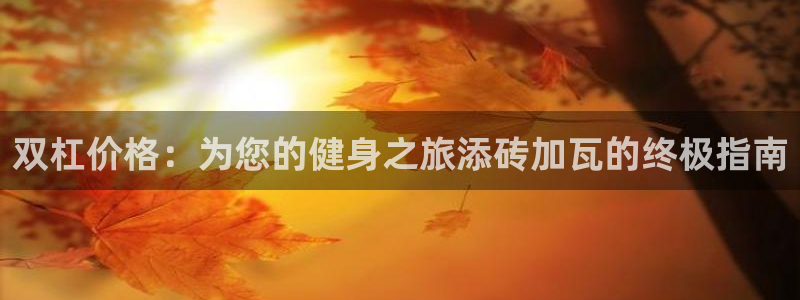星欧娱乐信存手机版下载：双杠价格：为您的健身之旅添砖