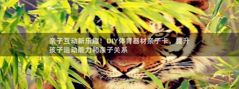 星欧娱乐最建议买的三个产品：亲子互动新乐趣！DIY体