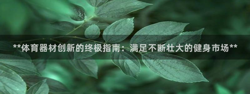 星娱乐包月是干嘛的：**体育器材创新的终极指南：满足