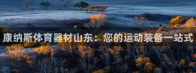星欧娱乐官网首页下载：康纳斯体育器材山东：您的运动装