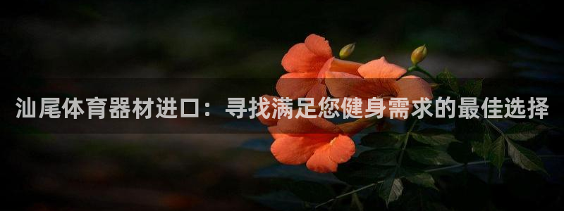 星欧娱乐还能玩吗：汕尾体育器材进口：寻找满足您健身需