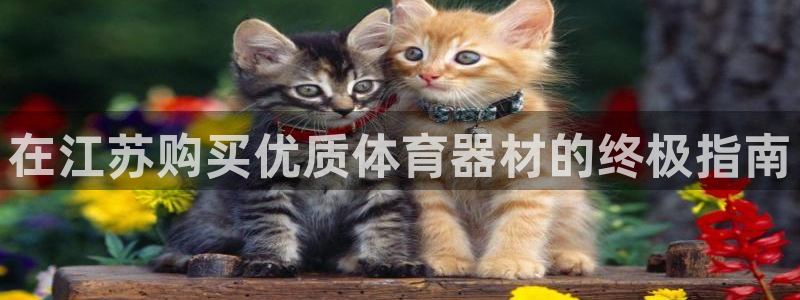 星欧娱乐下载最新版本更新内容：在江苏购买优质体育器材