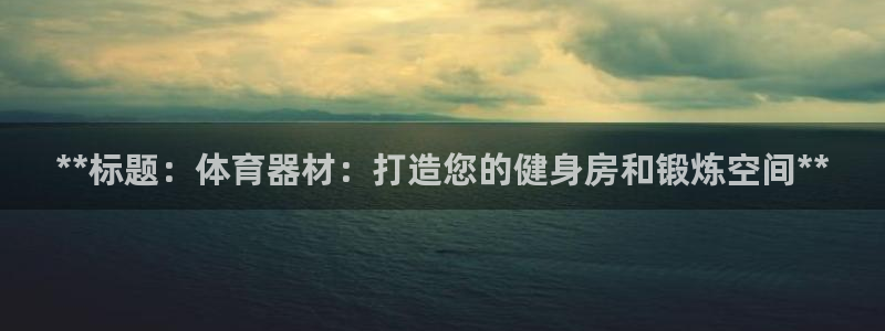 星欧娱乐公司创始人背景故事是什么：**标题：体育器材