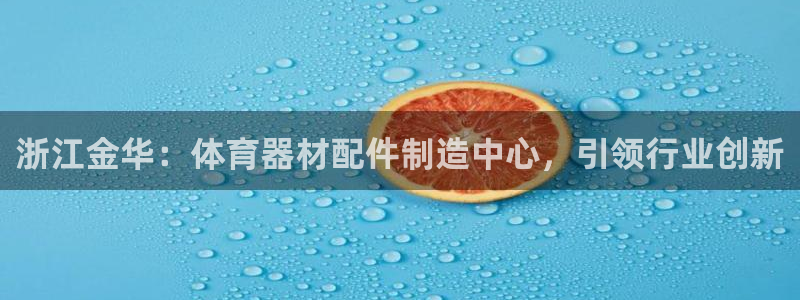 江苏星奥娱乐有限公司：浙江金华：体育器材配件制造中心