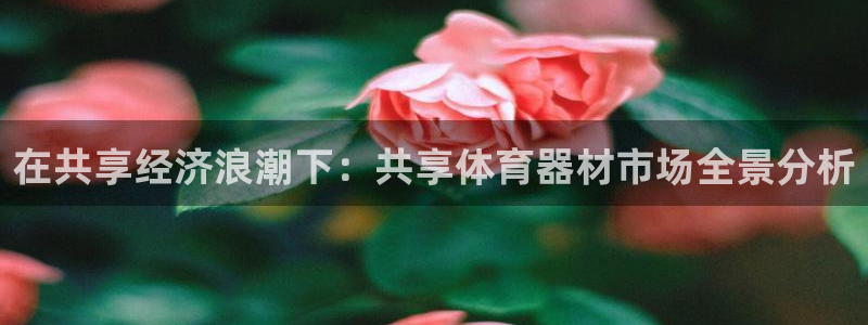 星欧娱乐属于什么档次的公司啊