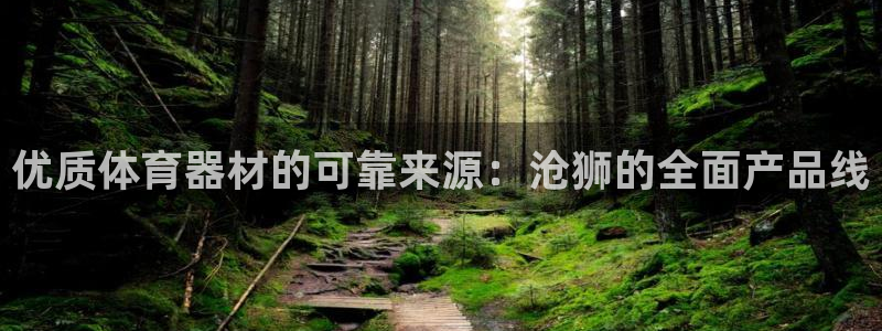 星娱乐文化传媒：优质体育器材的可靠来源：沧狮的全面产