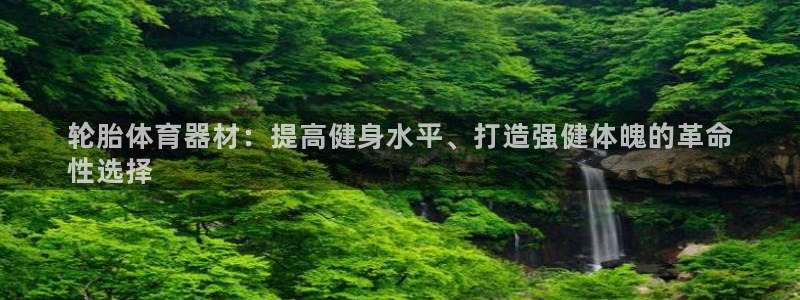 星欧娱乐是正规平台吗安全吗：轮胎体育器材：提高健身水