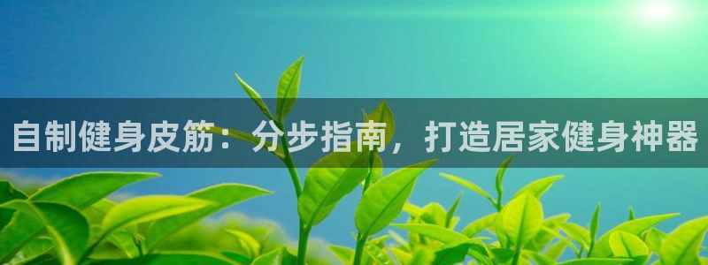 星欧娱乐的官方版本更新内容有哪些：自制健身皮筋：分步