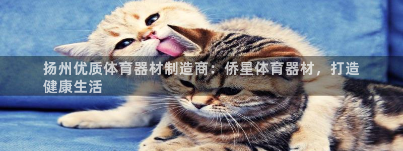 星欧娱乐的创始人背景故事是什么：扬州优质体育器材制造