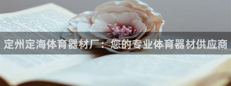 星欧娱乐平台测速线路设置：定州定海体育器材厂：您的专