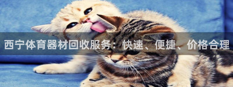 星欧娱乐平台怎么样啊：西宁体育器材回收服务：快速、便