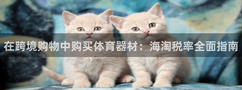 江苏星奥娱乐有限公司招聘：在跨境购物中购买体育器材：
