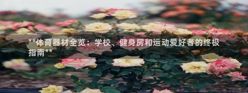 星欧娱乐发7O777：**体育器材全览：学校、健身房
