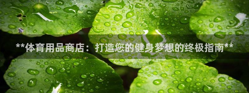 星奥娱乐微博：**体育用品商店：打造您的健身梦想的终
