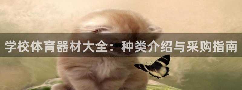 星欧娱乐属于什么档次的公司名称：学校体育器材大全：种
