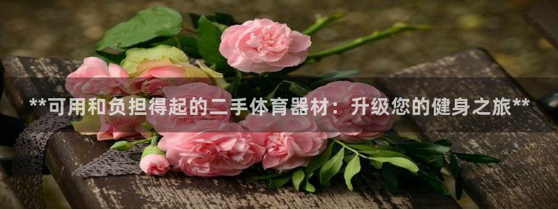 星欧娱乐扣款时间查询方法怎么查：**可用和负担得起的