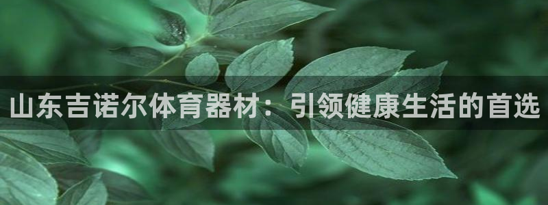 星欧娱乐是正规平台吗：山东吉诺尔体育器材：引领健康生
