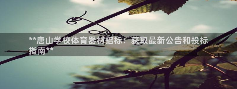 星娱乐是谁的公司：**唐山学校体育器材招标：获取最新