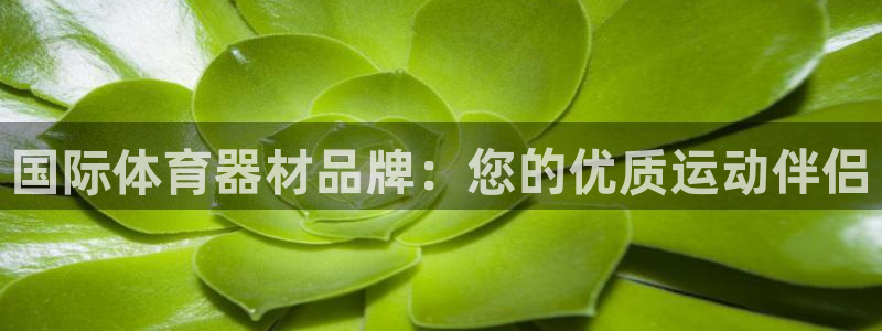星欧娱乐官方客服联系方式：国际体育器材品牌：您的优质
