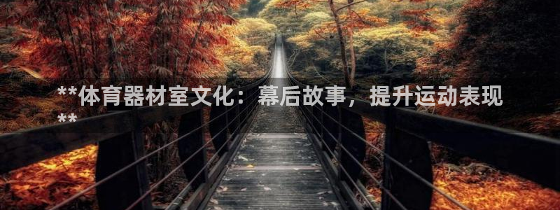 星欧娱乐扣款时间查询方法是什么样的：**体育器材室文