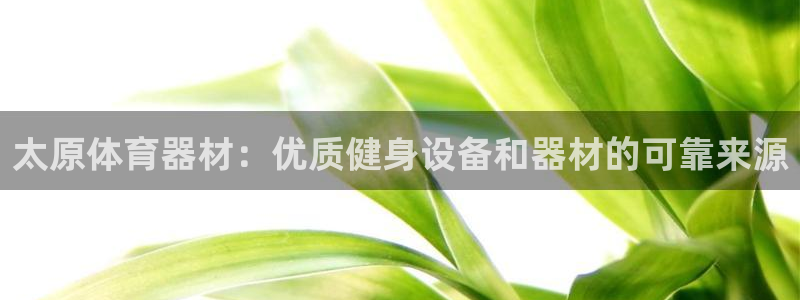 星欧娱乐属于什么档次的软件公司：太原体育器材：优质健