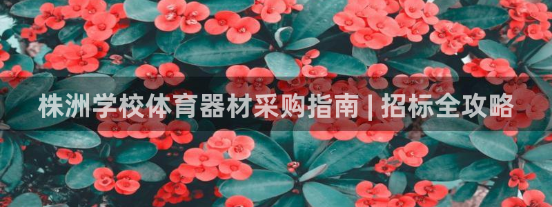 江苏星奥娱乐有限公司招聘：株洲学校体育器材采购指南 