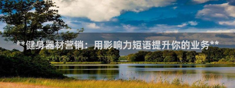 澳星国际娱乐集团：**健身器材营销：用影响力短语提升