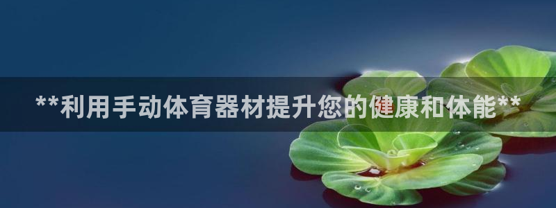 星欧娱乐公司：**利用手动体育器材提升您的健康和体能