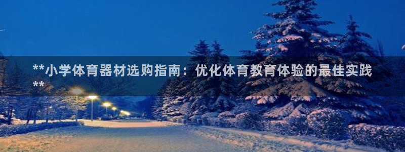 星欧娱乐扣款流程详解视频下载：**小学体育器材选购指