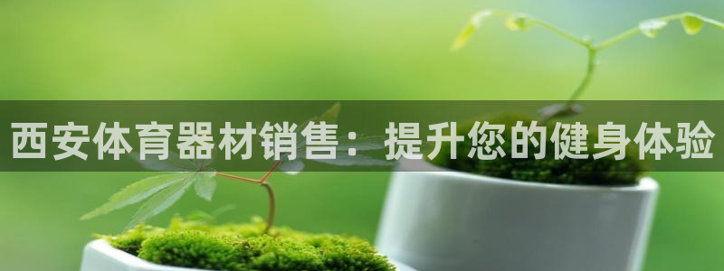 星奥娱乐待遇怎么样：西安体育器材销售：提升您的健身体