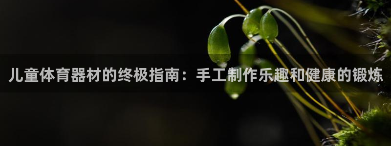 星欧娱乐扣款时间查询方法是什么样的：儿童体育器材的终