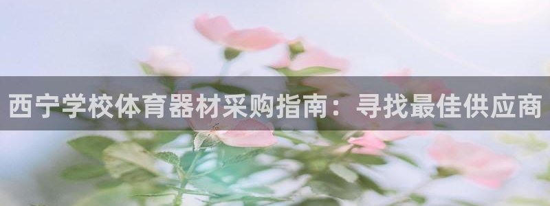 星欧娱乐公司创始人背景故事是什么：西宁学校体育器材采