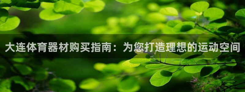 星欧娱乐是正规平台吗可靠吗：大连体育器材购买指南：为