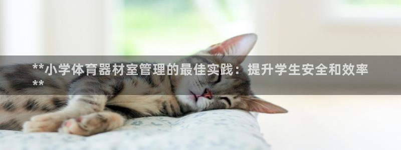 星澳娱乐公司怎么样：**小学体育器材室管理的最佳实践