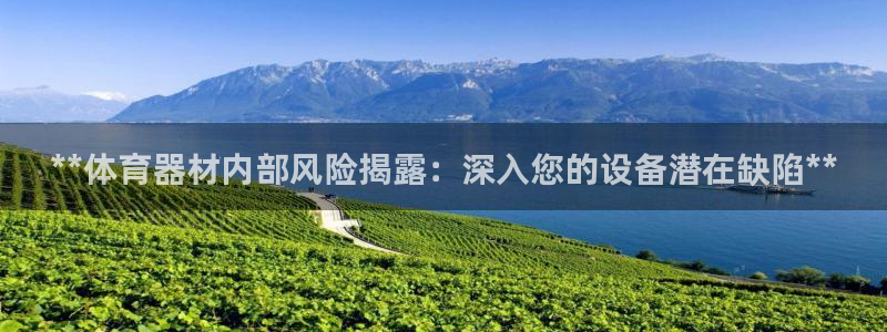 星乐娱乐：**体育器材内部风险揭露：深入您的设备潜在