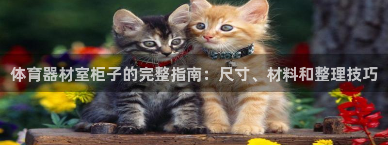 星欧娱乐属于什么档次的软件公司：体育器材室柜子的完整