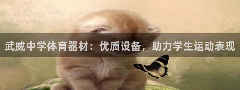 星娱乐彩票网：武威中学体育器材：优质设备，助力学生运